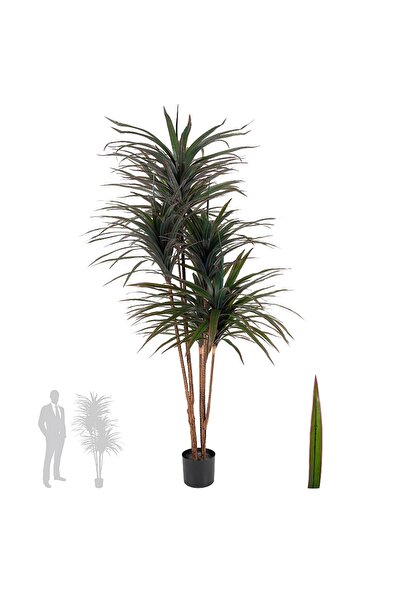Roberto Rossi Dracaena artificiala marginata cu 310 frunze verde cu rosu H180 cm