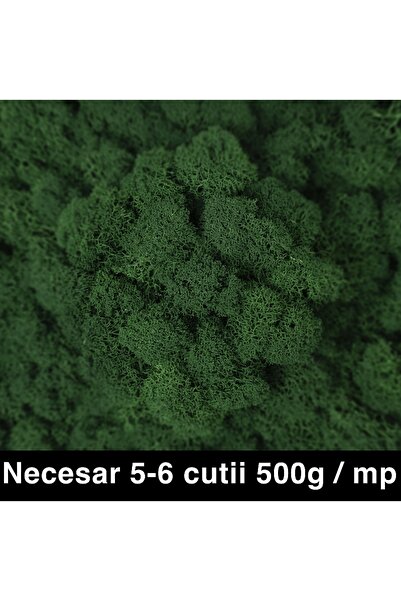 Roberto Rossi Licheni curatati si fara radacina conservati 500g NET, calitate...