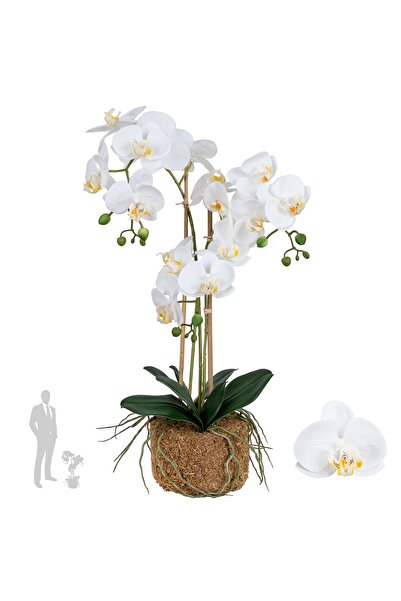 Roberto Rossi Orhidee artificiala alba cu aspect H64 cm cu 3 tulpini