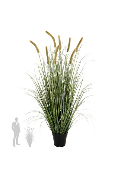 Roberto Rossi Iarba artificiala Onion Cattail 120 cm cu 8 flori portocalii