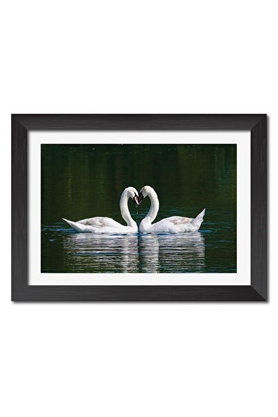 Signtouch Advertising Alayra Lucky Swan Birds Love Pair Decorative Framed Pos...
