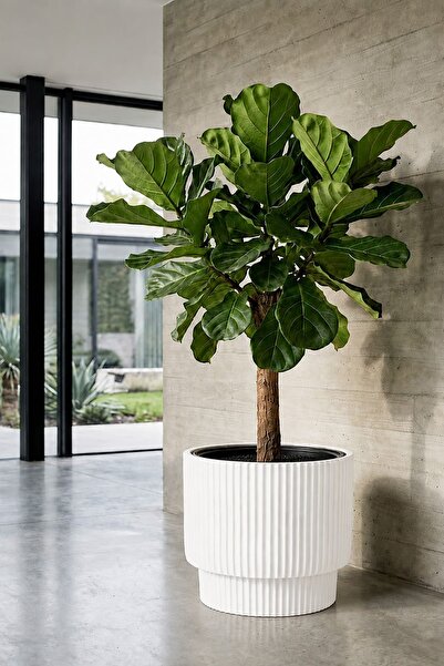 Alezy Vega Model İç Drenaj Hazneli Dekoratif Modern Saksı 30 lt No:3