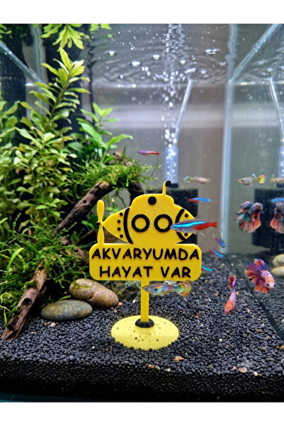 AKVARYUM TABELA DENİZALTI FORMLU STANDLI