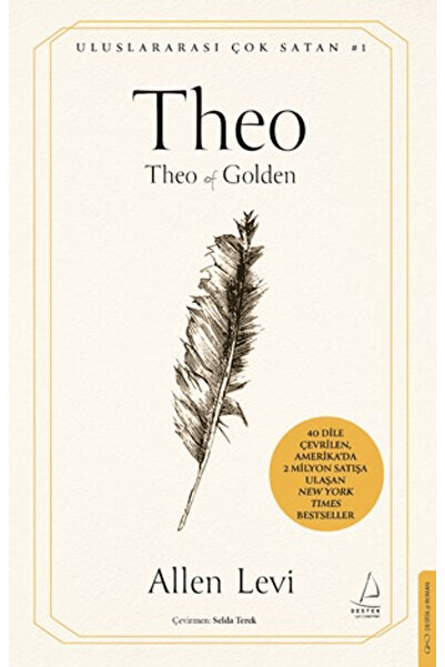 Destek Yayınları Theo / Allen Levi / / 9786258594782