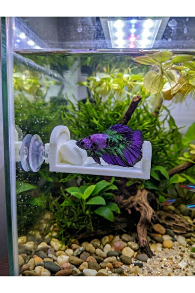 3D Betta Balığı İçin Özel Tasarım PETG Beyaz Dinlenme Yatağı - 8x5 cm - Vantuzlu