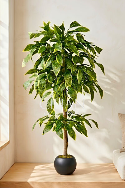 Cihan Çiçekçilik Premium Kalite Yapay Ceviz Ağacı 180 cm 27x33 Küre Saksı