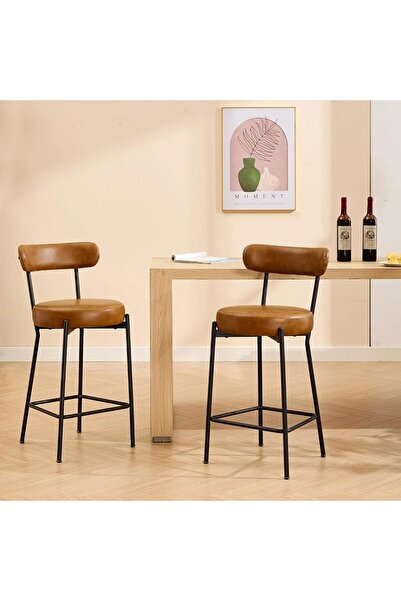 Garvee Set of 2 Counter Height Bar Stools, 26 Inches, Chairs with Backrest, T...