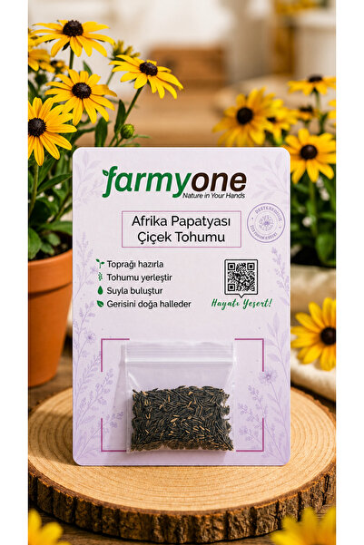farmyone Afrika Papatyası 100 Adet