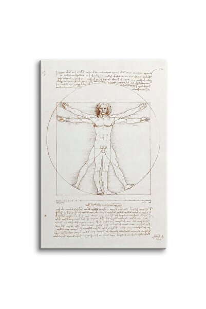 Naklejkomania Tablou pe panza, reproducere Leonardo Da Vinci, "Omul vitruvian...
