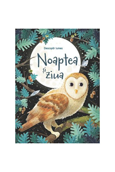 Editura Univers Enciclopedic Zi și Noapte, Usborne Books - Editura Encicloped...