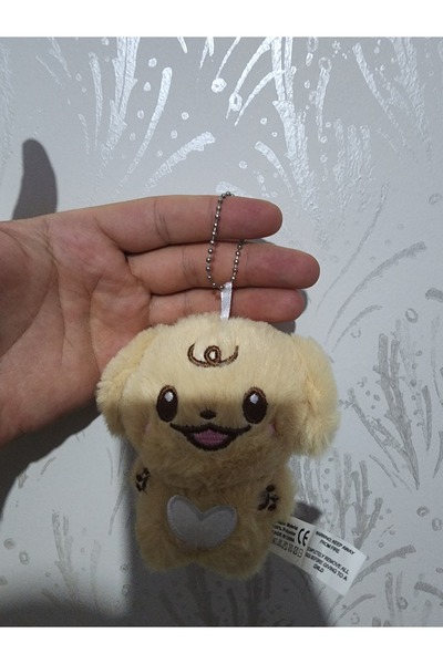 PEPİKON Kpop Enhypen Plush Toy 10 cm Keychain