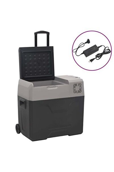 vidaxl Ladă frigorifică cu roți și adaptor 50 L negru/gri polipropilenă