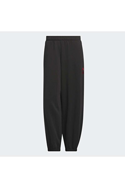 adidas Anted Foun Pant Erkek Spor Eşofman Altı KG9111