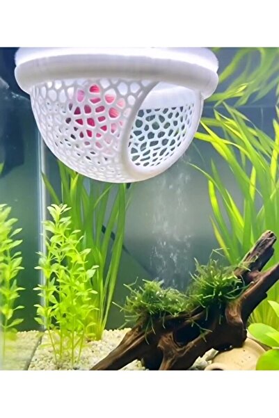 İG İlangezer Beta Dinlenme Alanı Beta Yuvası Balık Yavrulugu Balık Yuvası