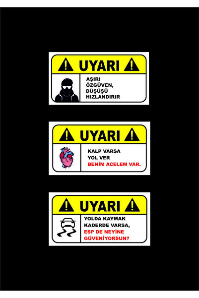 ESLEM Set of 3 Funny Car Lettering Stickers - Fade-Resistant, Scratch-Resista...