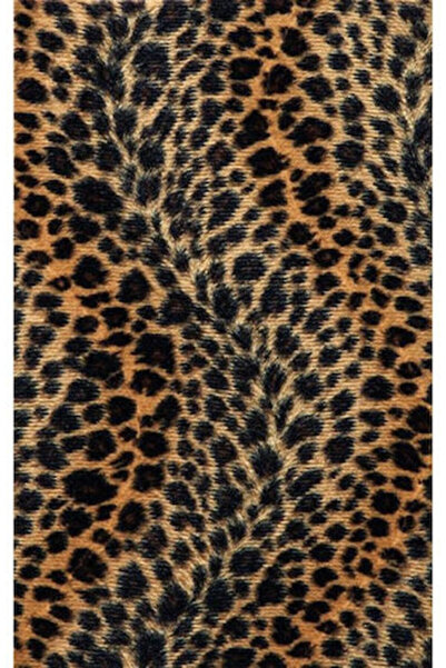 Folia 55514