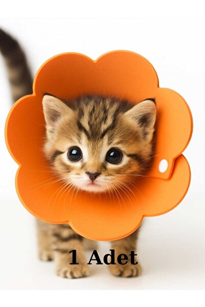 Nostaljik Lezzetler Yavru Kedi Yakalık Yumuşak Özel Teknofoam (3 Beden Ayarla...