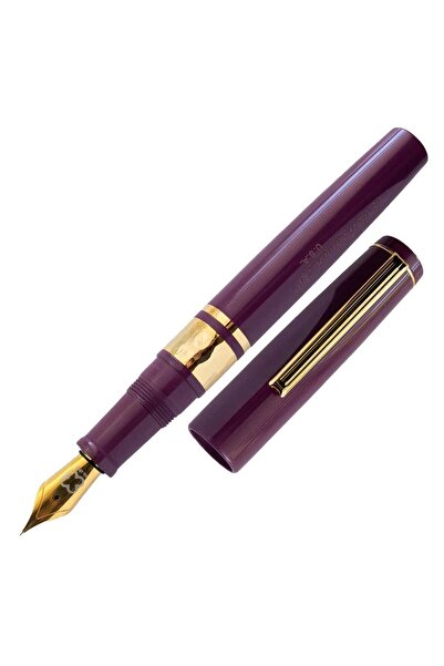 Esterbrook Model J Dolma Kalem Blackberry Ebonite Medium