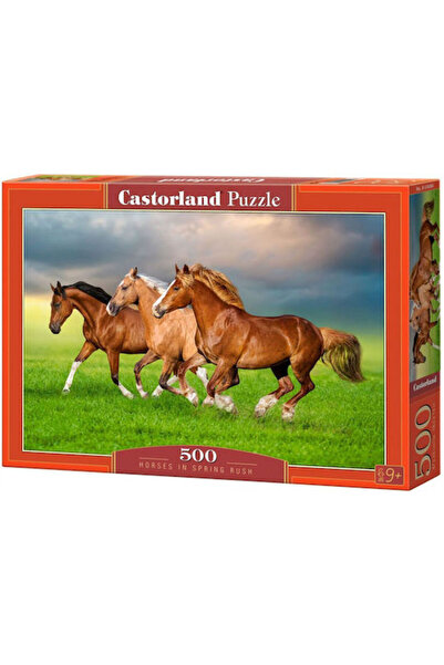 Castorland Cai în corbul de primăvară Puzzle 2D 500 piese Cod: 54084