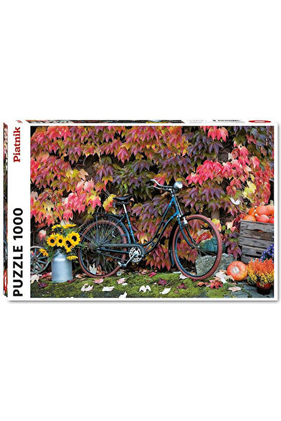 Piatnik Puzzle 2D 1000 piese