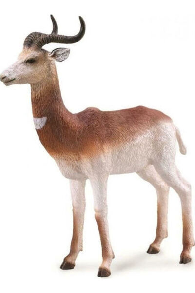 Collecta Gazelle Dame pentru 3+ ani 9.3cm