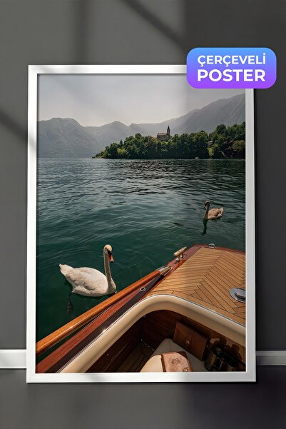 Postifull Swans and Lake Scenery Poster, White Framed Poster, Old Money Serie...