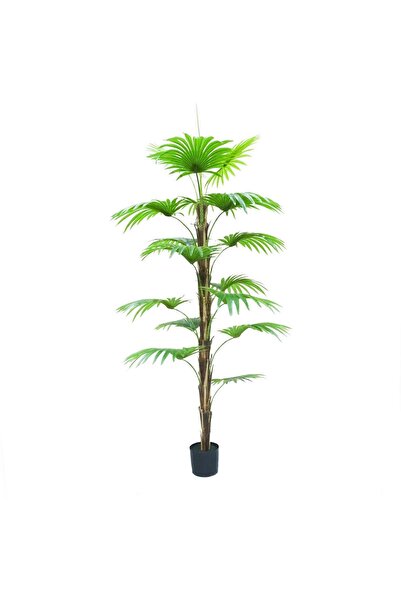 SUPERGREENS Τεχνητό Δέντρο Πιτσάρδια "Washingtonia" Πράσινο 180 εκ.