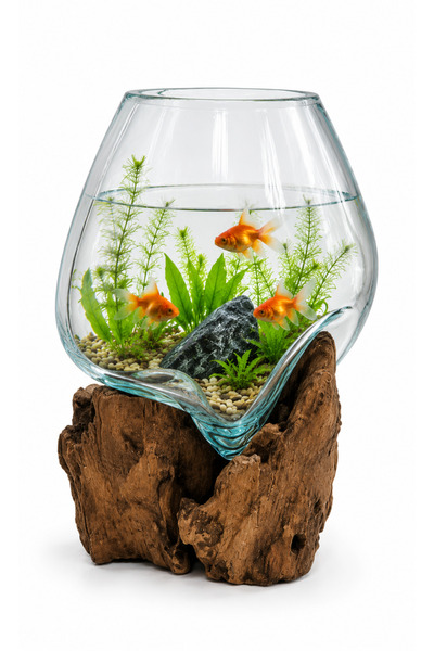 Generic Luxury Glass Vase with Natural Wood Base - Small Fish Tank and Modern...
