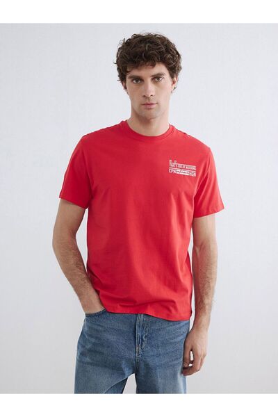 LC Waikiki Crew Neck Printed Men's T-Shirt