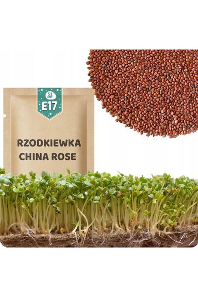 Other 51Seed E17 SEMINȚE DE GERMINAT - RASHIȘĂ TRANDAFIRIE CHINEZĂ 20G
