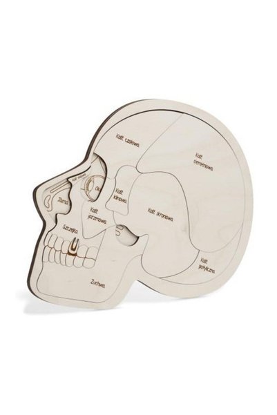 OEM Puzzle din lemn sonor, educativ, anatomia capului, 3 nivele