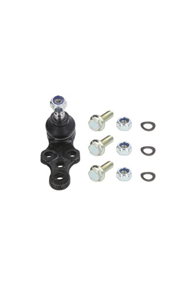 FEBI BILSTEIN Pivot Axa Dreapta/Stanga (inferior Fata) (diametru Con 16mm) Da...
