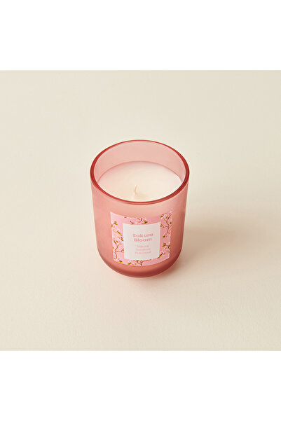 Evidea Deco Sakura Bloom Bardak Mum - Renkli - 180 gr