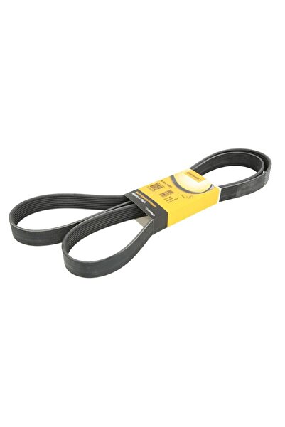CONTITECH Curea Accesorii (8pk1955) Mercedes Vario Vario (b667 B670 B668) Var...