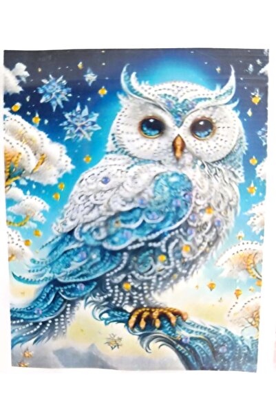 LİVA CRAFT Art & Craft Diamond Mosaic Painting, 30X40 White Owl Bead Gluing Kit