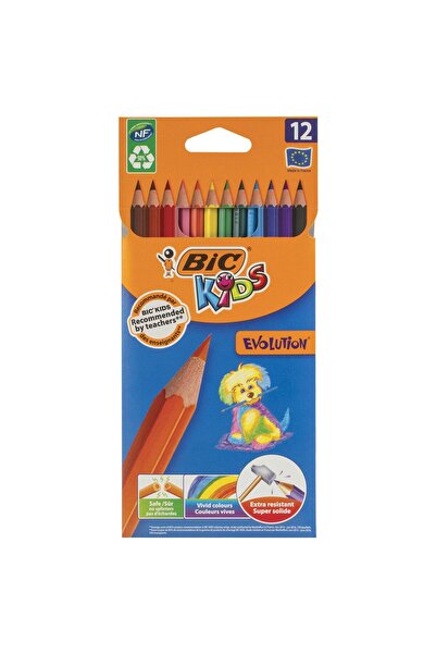 Bic Evolution Dry Paint 12-Pack
