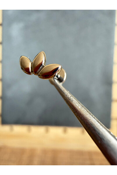 zadenza gold Yüksek Kalite G23 Titanyum Şans Buğdayı Labret Piercing
