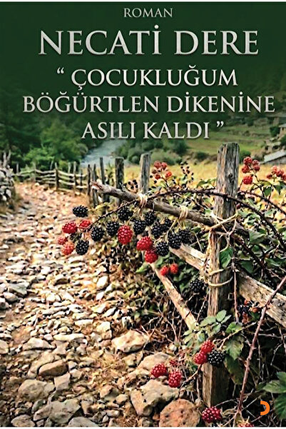 Cinius Yayınları Çocukluğum Böğürtlen Dikenine Asılı Kaldı