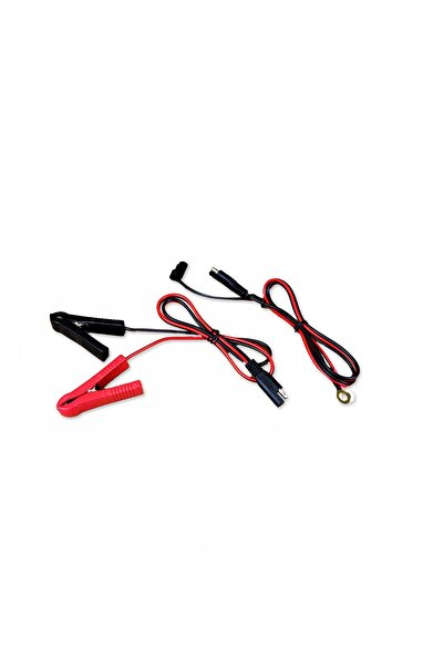 Volt ÎNCĂRCĂTOR-CONVERTOR MICROPROCESORAT PENTRU ACUMULATORI LiFePO4 24V / 25...