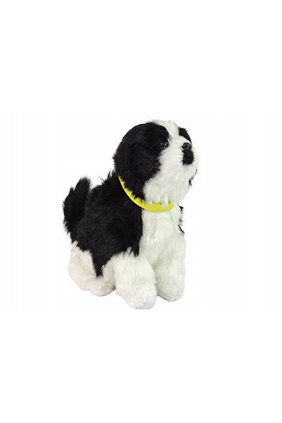 LeanToys Câine interactiv de pluș Border Collie care face sunete