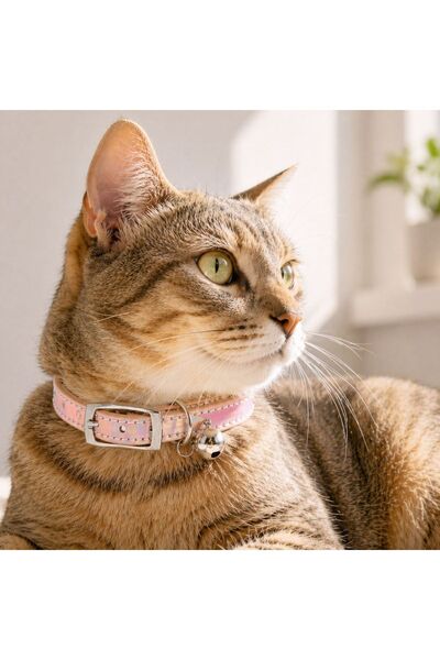 Zâna Casei Pink Reflective Faux Leather Collar with Bell for Cats 28cm