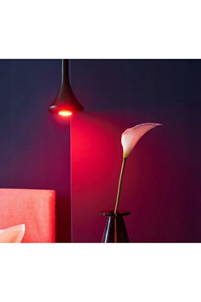 Shelly Bec LED inteligent Duo 5W GU10 RGBW Wi-Fi