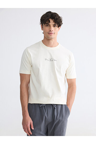 LC Waikiki Crew Neck Printed Men's T-Shirt