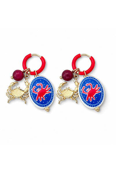 Venus Design Steel crab charm earrings