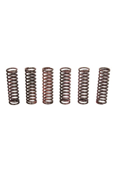 TRW Set Arcuri Ambreiaj Yamaha Yzf-r6 600 2008-2020 YAMAHA YZF-R6