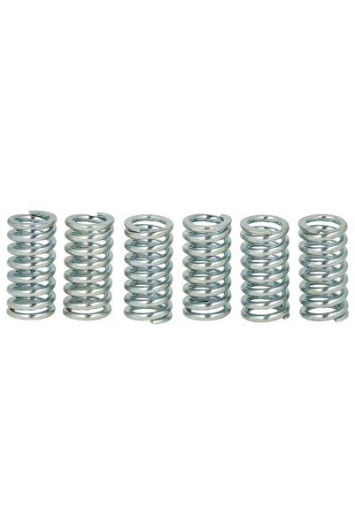 TRW Set Arcuri Ambreiaj (ranforsat) Kawasaki Klx Sachs X-road Xtc Suzuki Dr D...