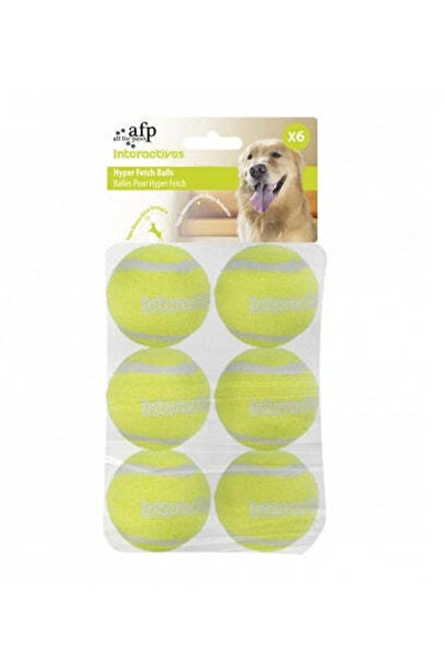 All For Paws Hyper Fetch Balls Toy for Dogs