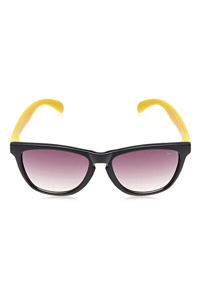 MTV Wayfarer Sunglasses