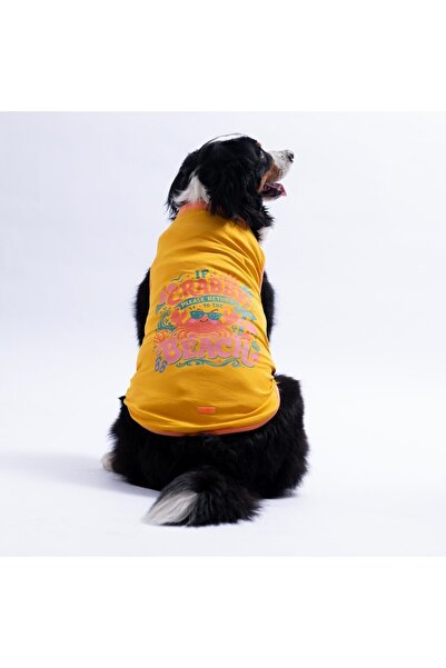 Pawstar Yellow Crabby Beach Large Dog T-Shirt - Dog Apparel (15 Kg-45 kg)