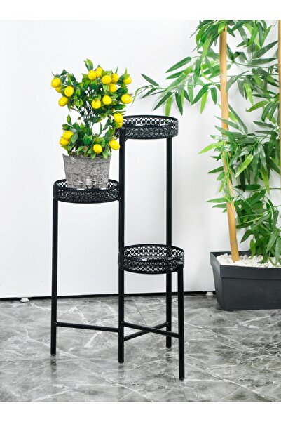 Maya Home 3 Bölmeli Saksılık